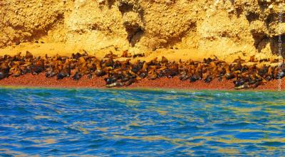 South Peru Adventure