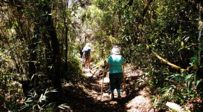 Sacred Inka Trail